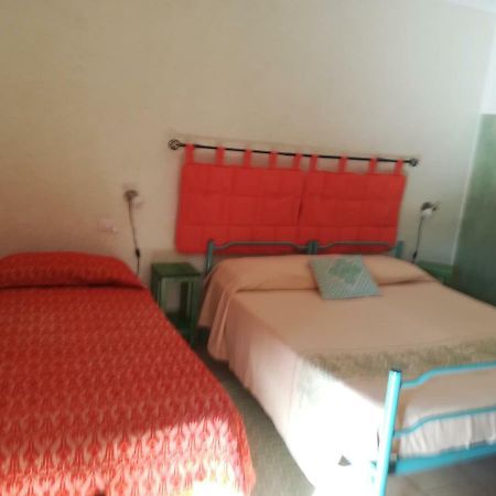 Agriturismo Ticci Seùlo Dış mekan fotoğraf