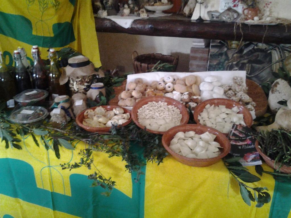 Agriturismo Ticci Seùlo Dış mekan fotoğraf