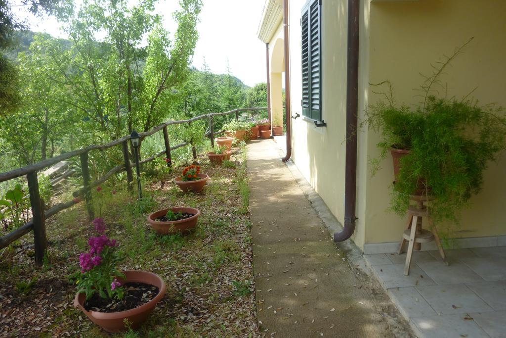 Agriturismo Ticci Seùlo Dış mekan fotoğraf