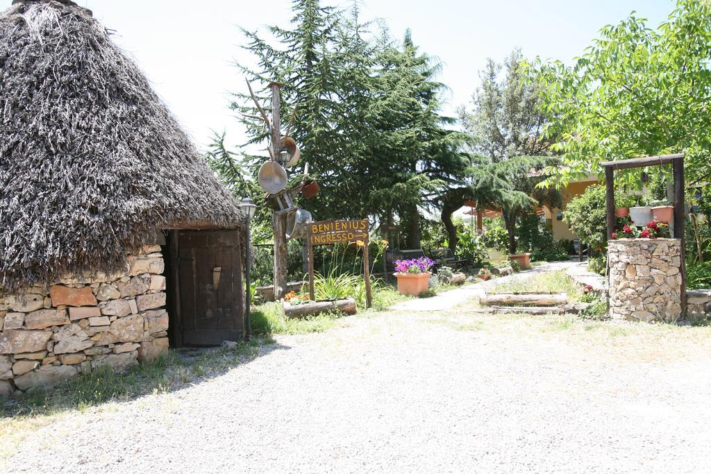 Agriturismo Ticci Seùlo Dış mekan fotoğraf