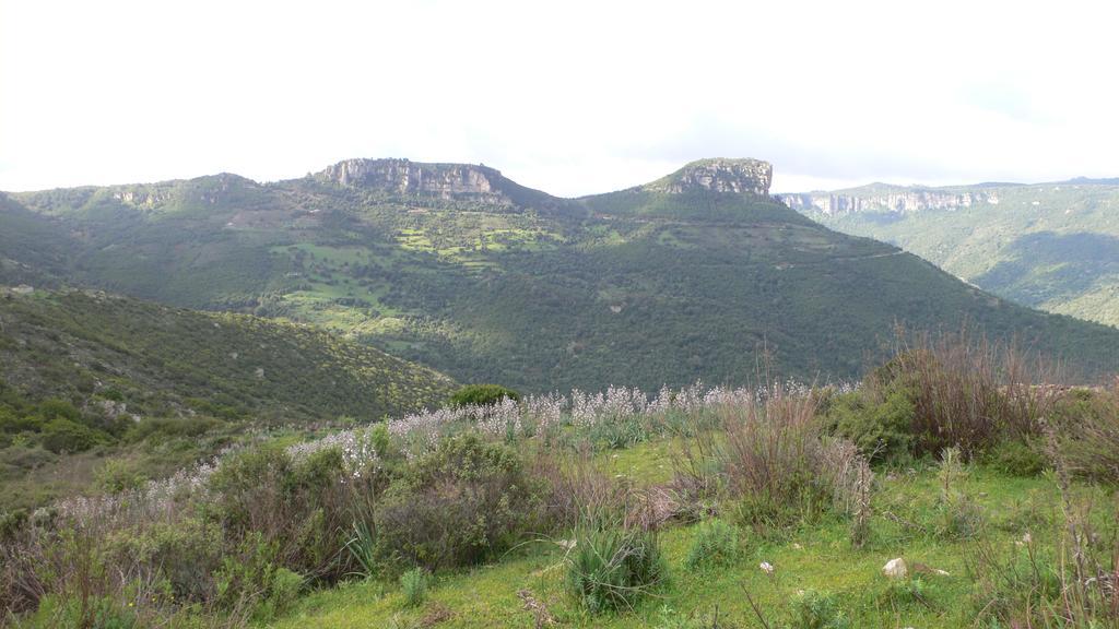 Agriturismo Ticci Seùlo Dış mekan fotoğraf