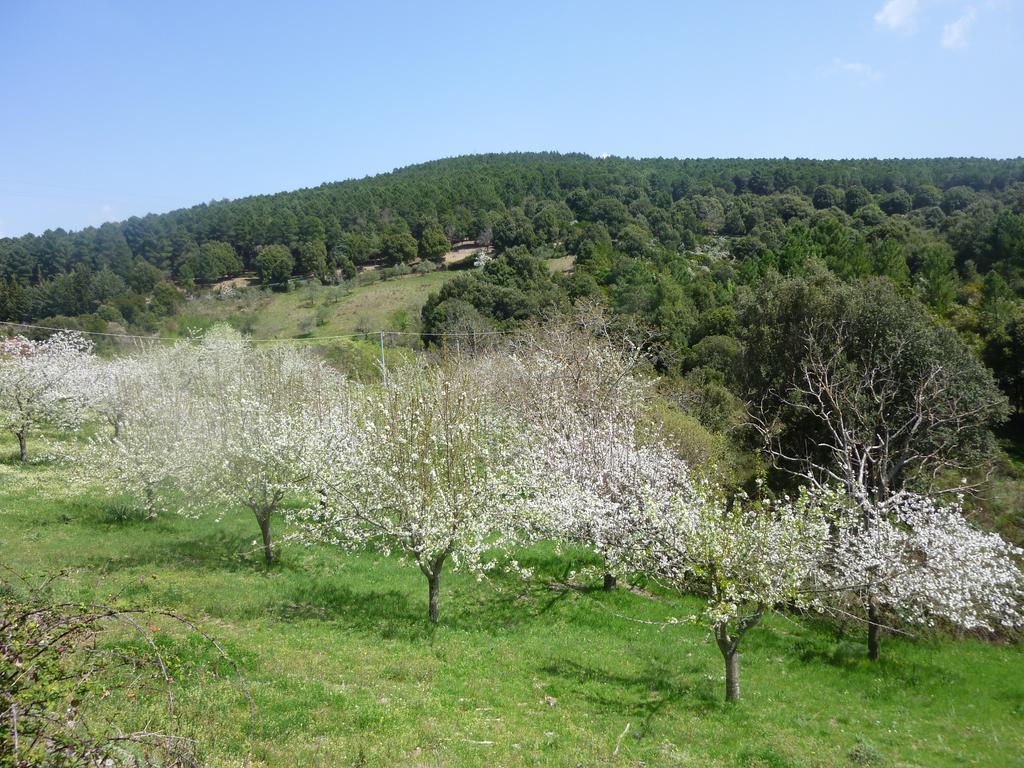 Agriturismo Ticci Seùlo Dış mekan fotoğraf