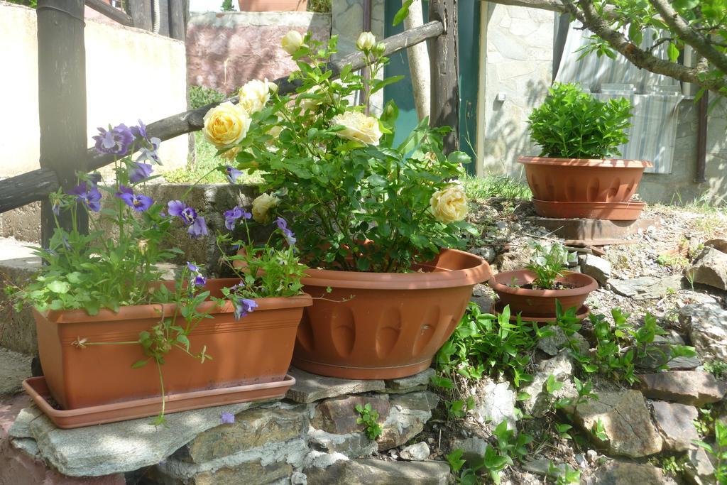 Agriturismo Ticci Seùlo Oda fotoğraf