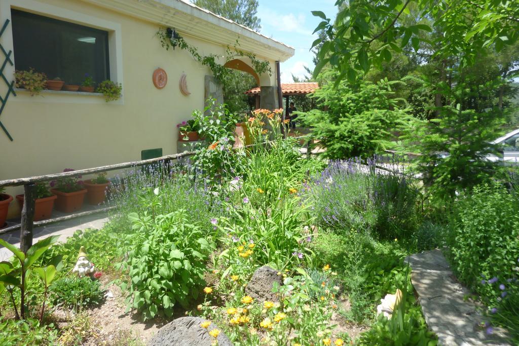Agriturismo Ticci Seùlo Dış mekan fotoğraf