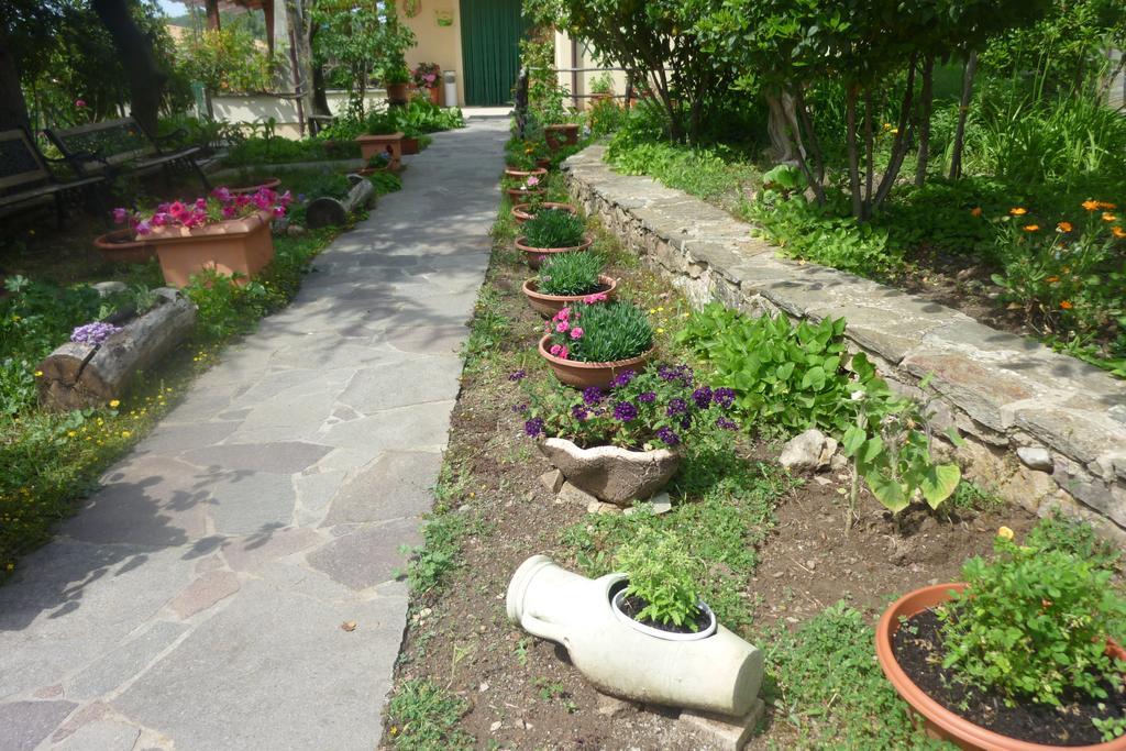 Agriturismo Ticci Seùlo Dış mekan fotoğraf