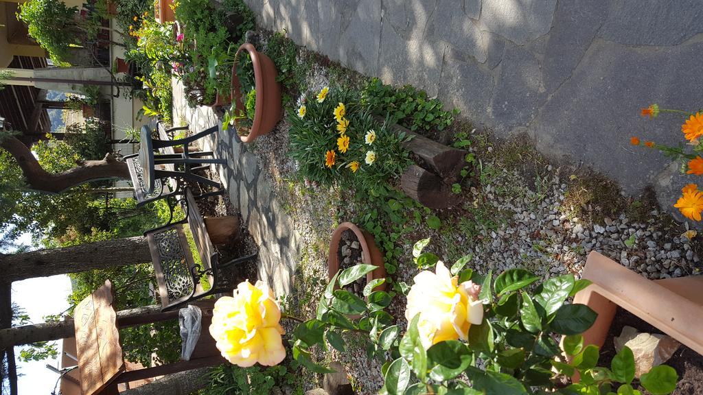 Agriturismo Ticci Seùlo Dış mekan fotoğraf